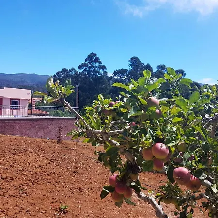 Comfortable With Shared Pool In Prazeres, 150 M² Apartamento *