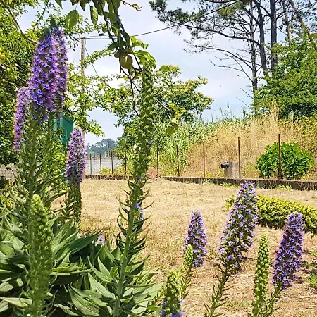 Comfortable With Shared Pool In Prazeres, 150 M² דירה