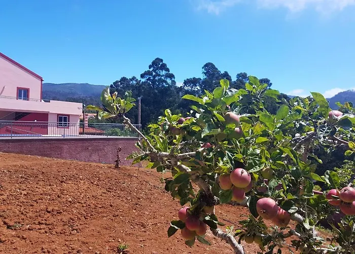 Comfortable With Shared Pool In Prazeres, 150 M² Apartmán *