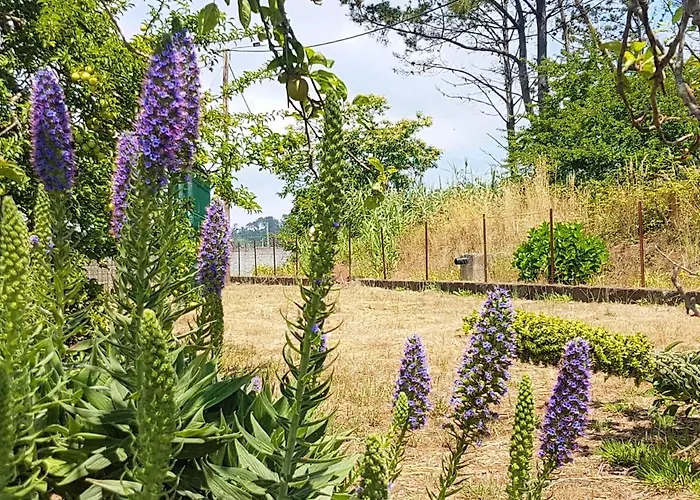 Comfortable With Shared Pool In Prazeres, 150 M² Appartamento